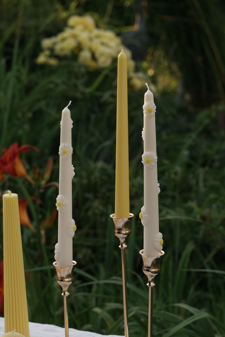 Tall Candle Daisy