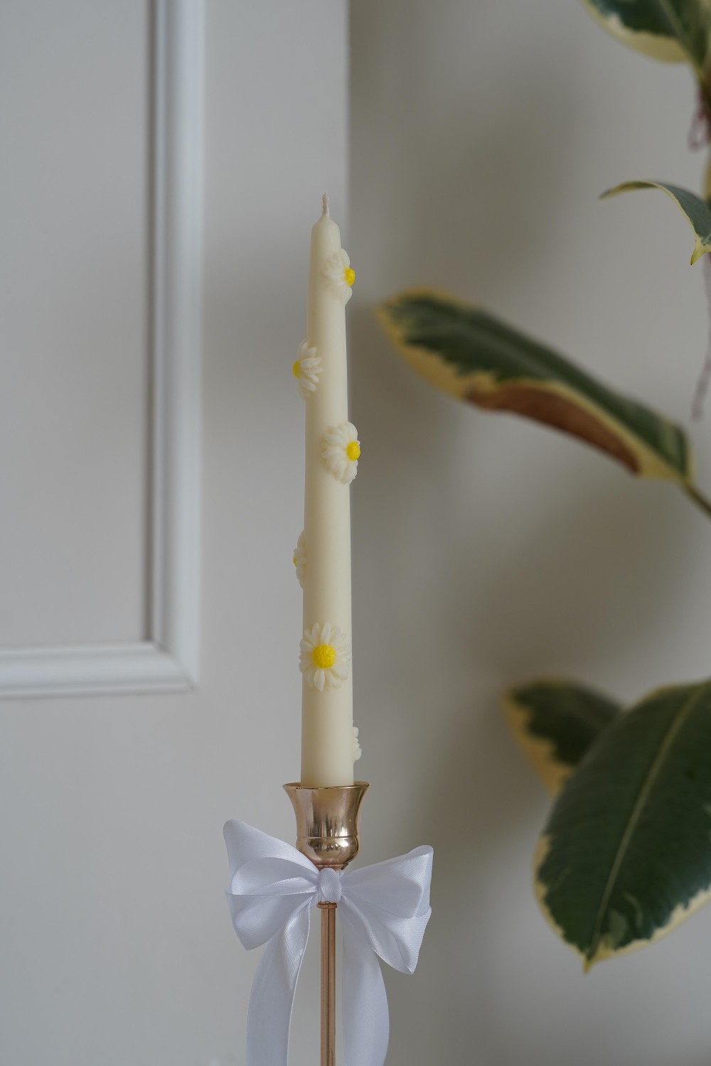 Tall Candle Daisy