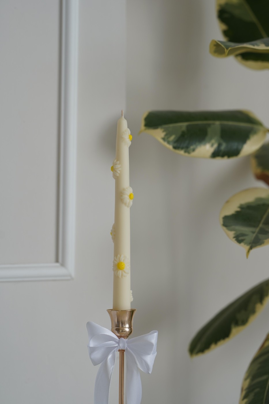 Tall Candle Daisy