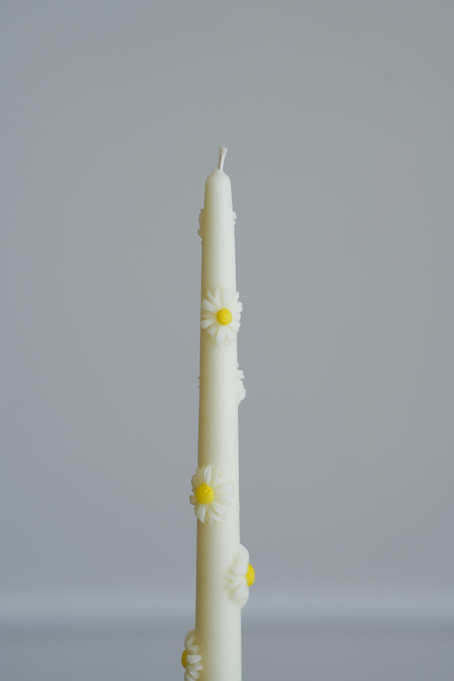 Tall Candle Daisy