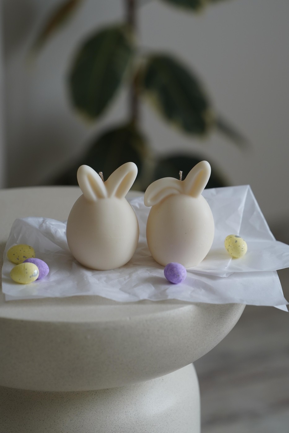 Bunny | Easter Bunny