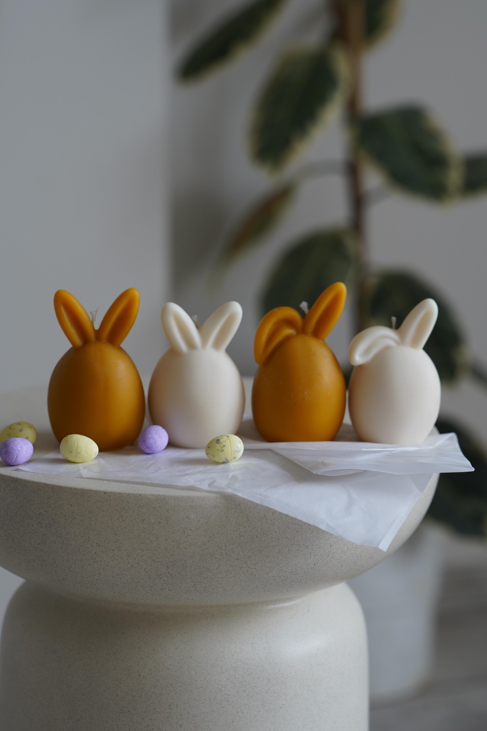 Bunny | Easter Bunny