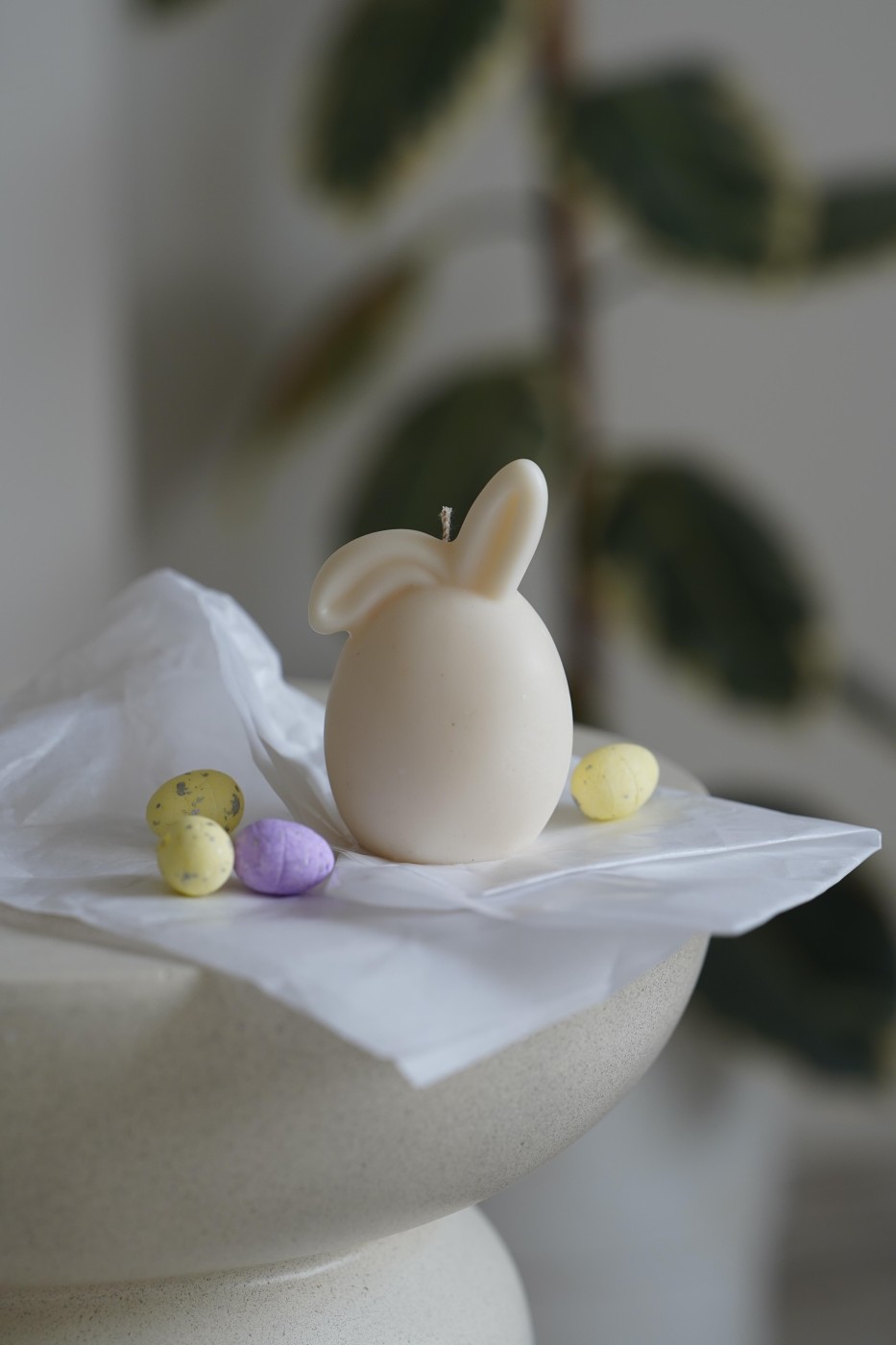 Bunny | Easter Bunny