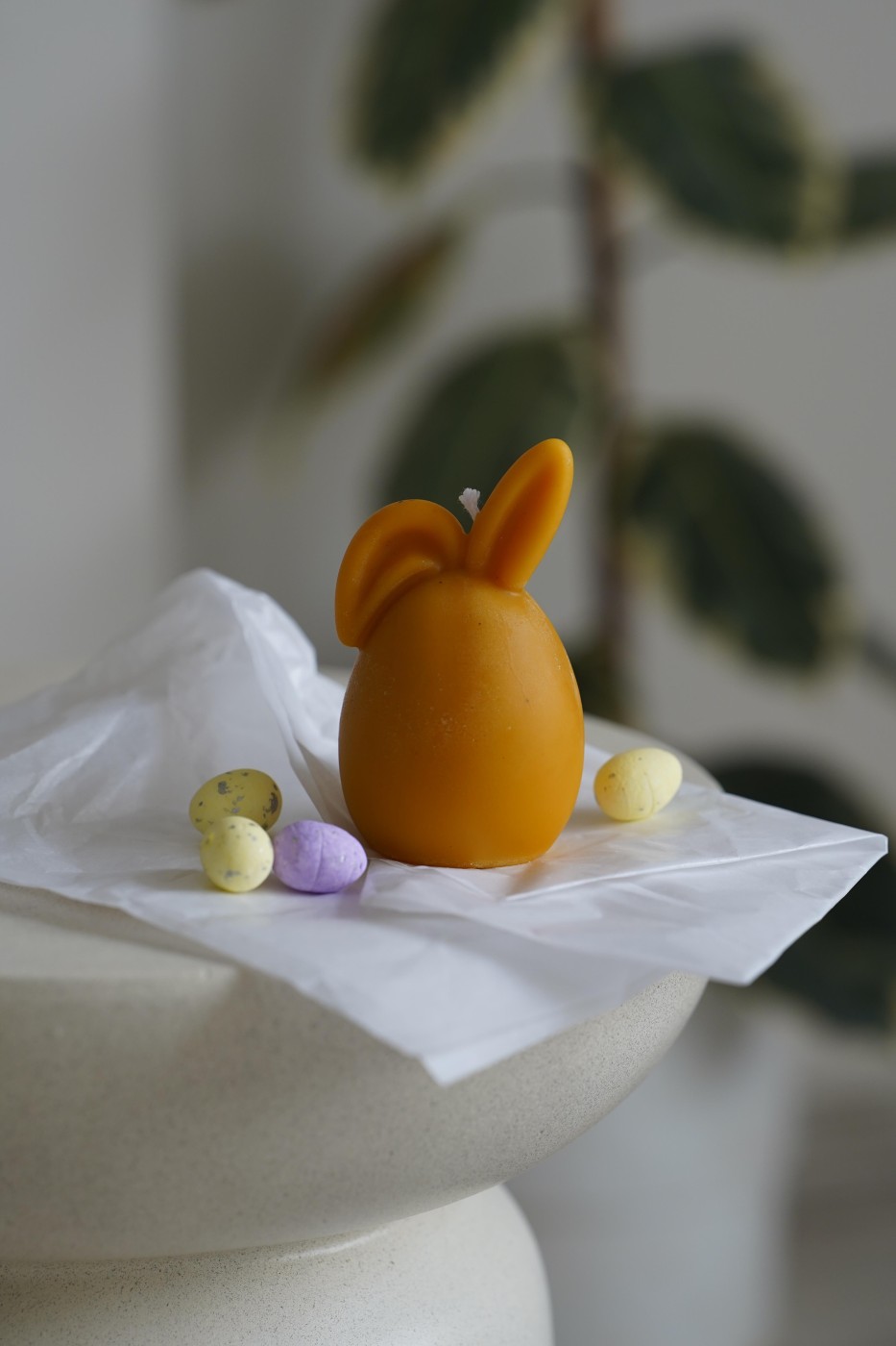 Bunny | Easter Bunny