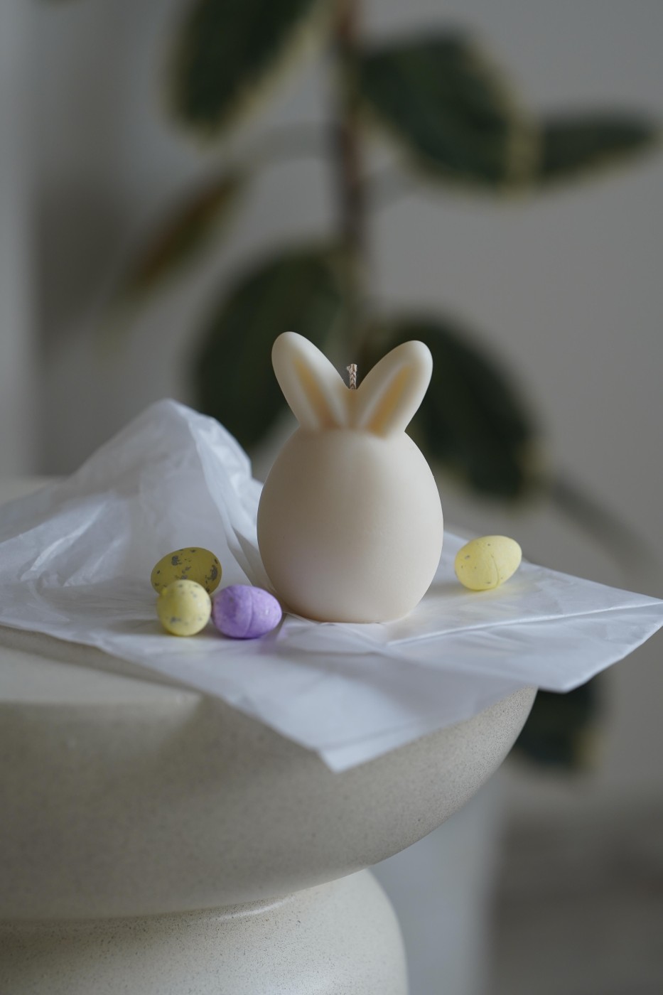 Bunny | Easter Bunny