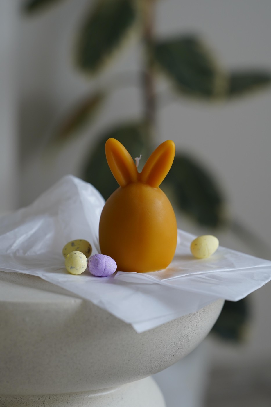 Bunny | Easter Bunny