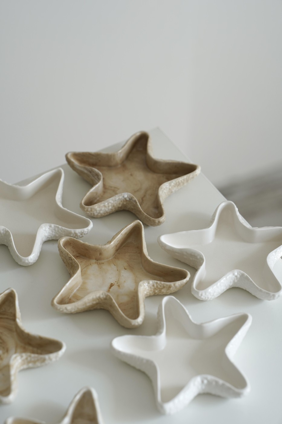 Starfish Plate