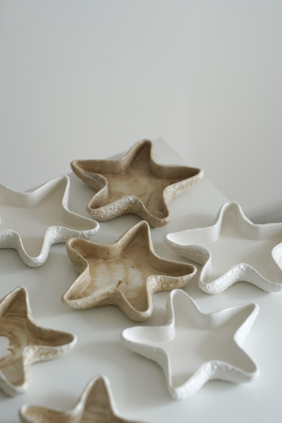 Starfish Plate