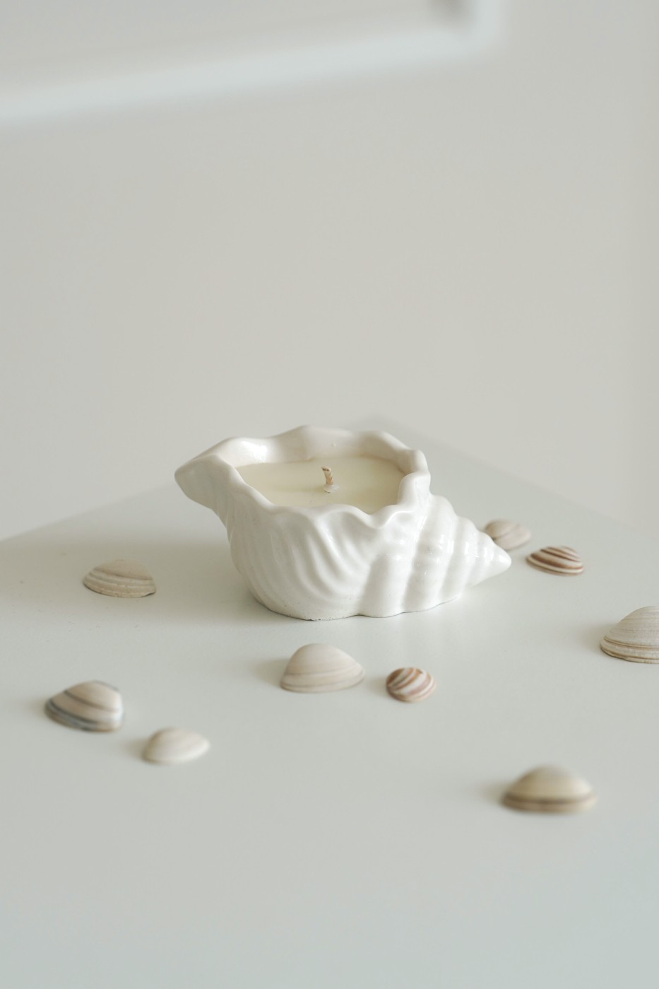 Baby shell | Scented soy candle