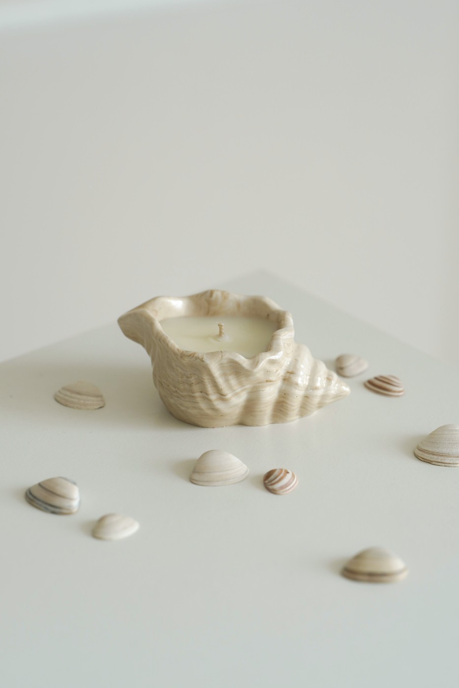 Baby shell | Scented soy candle