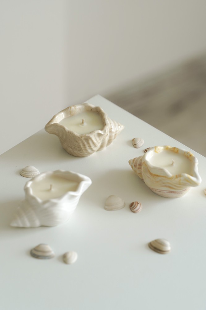Baby shell | Scented soy candle