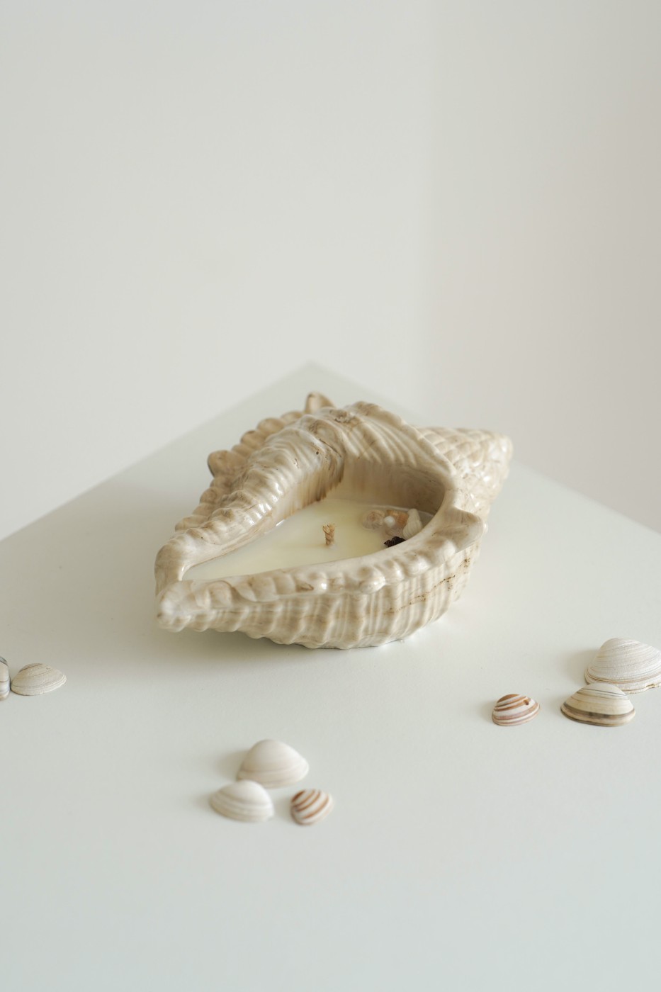 Cora Shell | Scented Soy Candle
