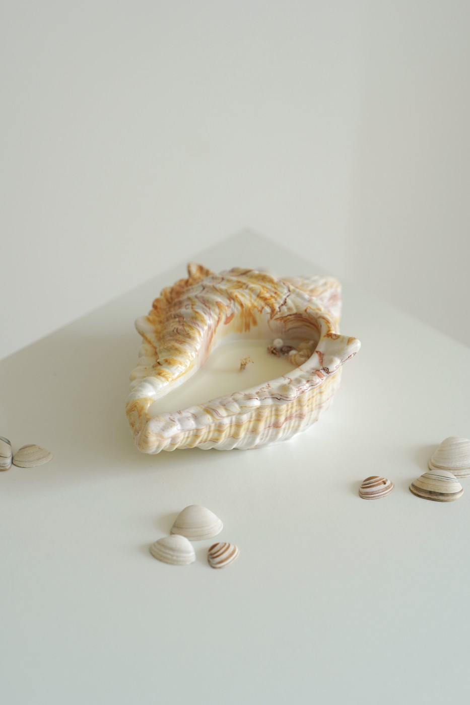 Cora Shell | Scented Soy Candle