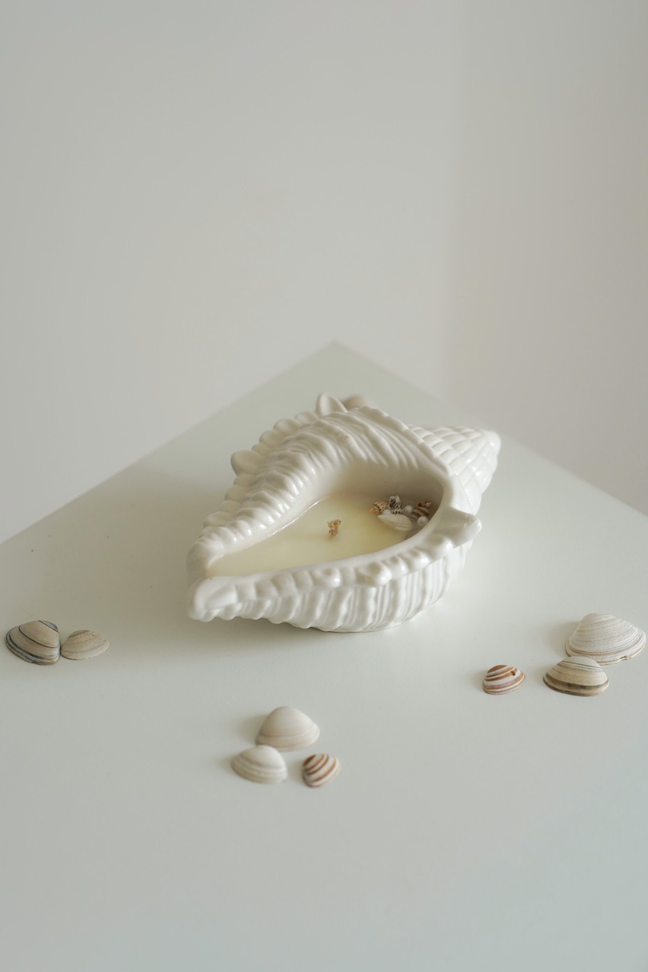 Cora Shell | Scented Soy Candle
