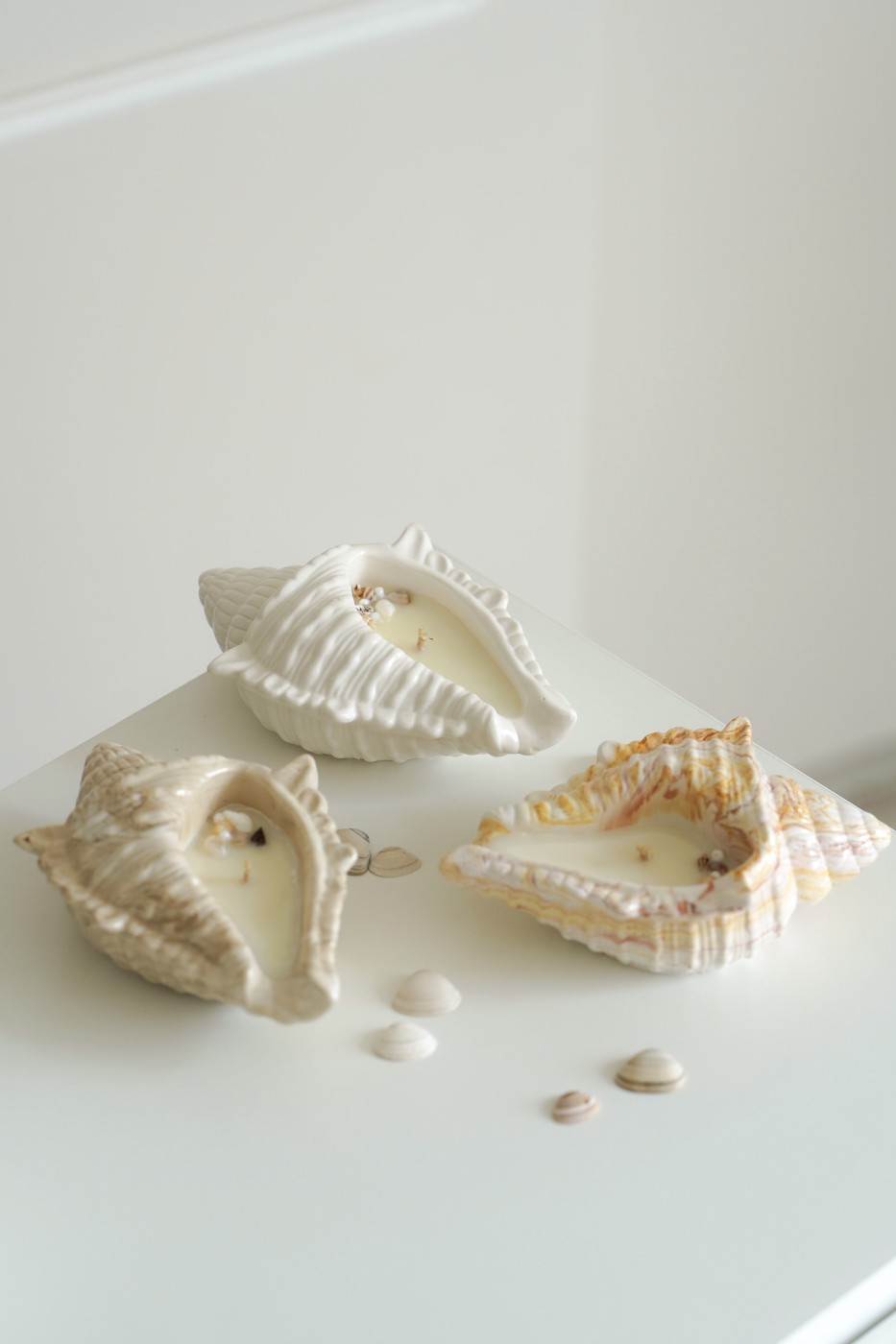 Cora Shell | Scented Soy Candle