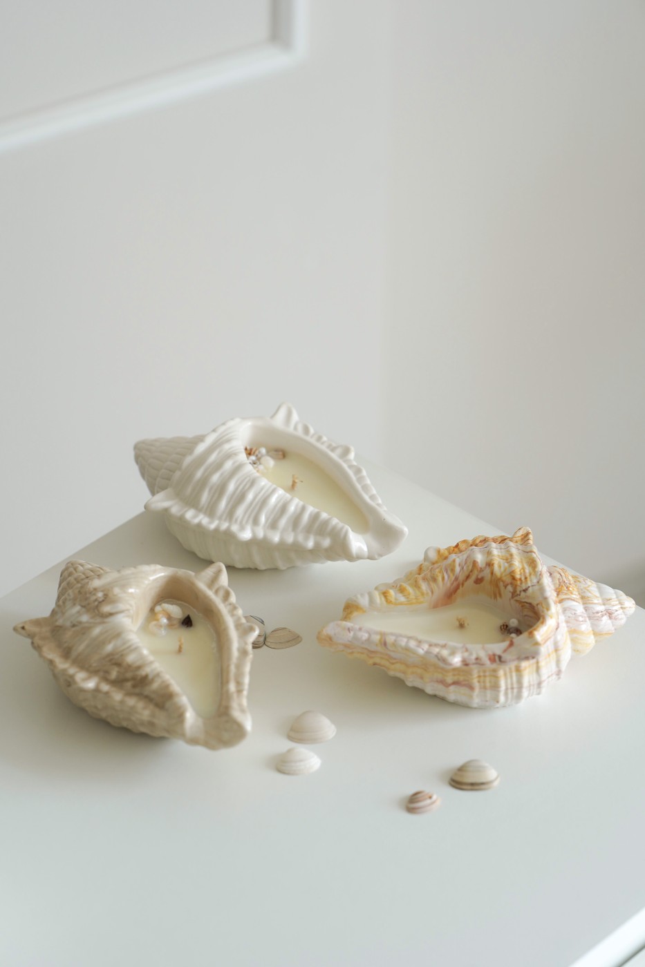 Cora Shell | Scented Soy Candle