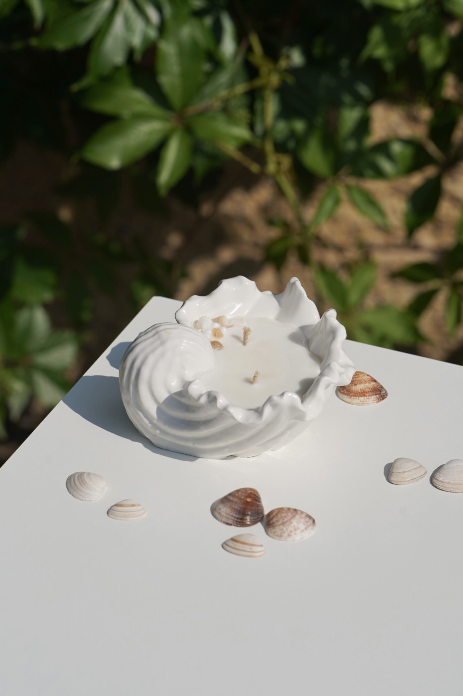 Malia Shell | Scented Soy Candle