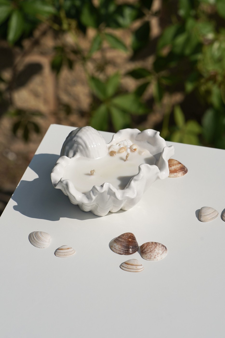 Malia Shell | Scented Soy Candle