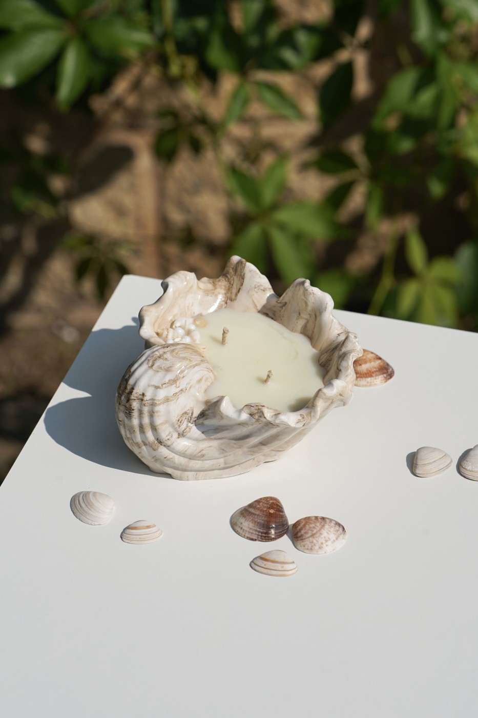 Malia Shell | Scented Soy Candle
