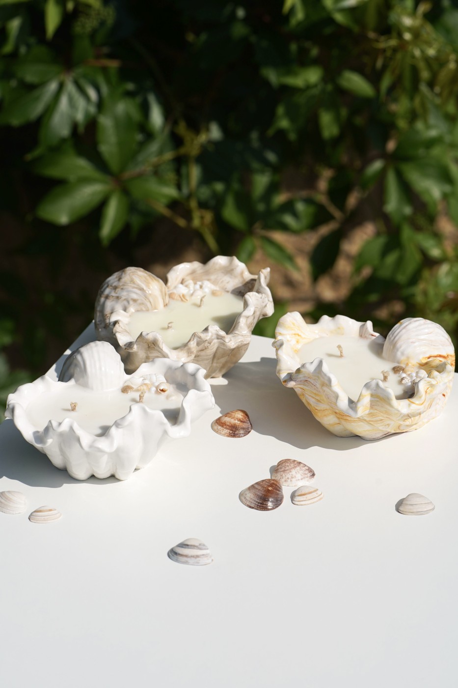 Malia Shell | Scented Soy Candle