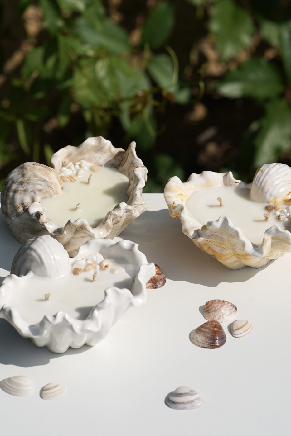 Malia Shell | Scented Soy Candle