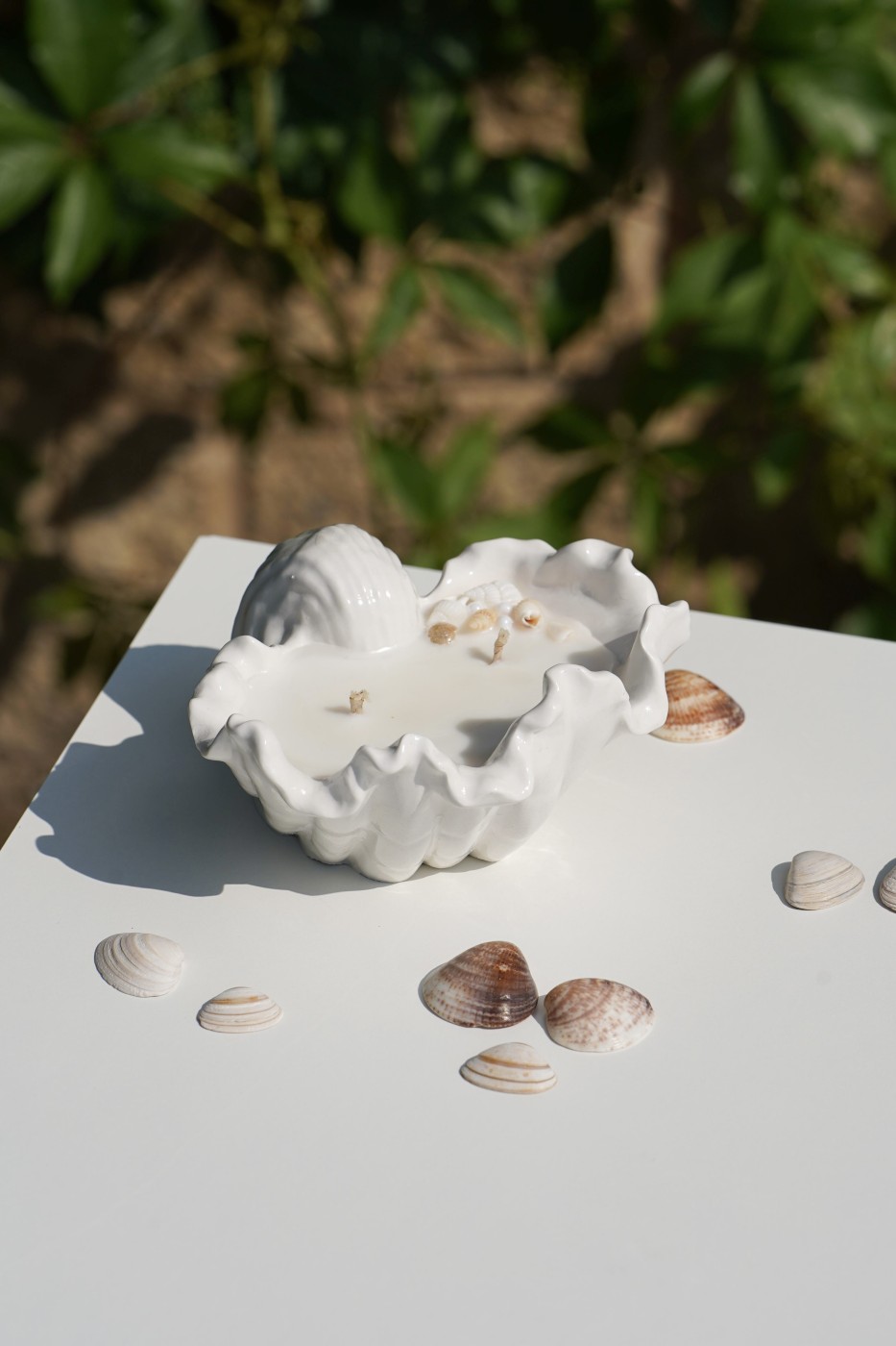 Malia Shell | Scented Soy Candle