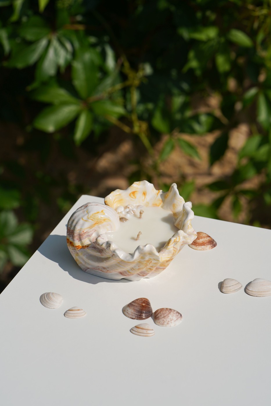 Malia Shell | Scented Soy Candle