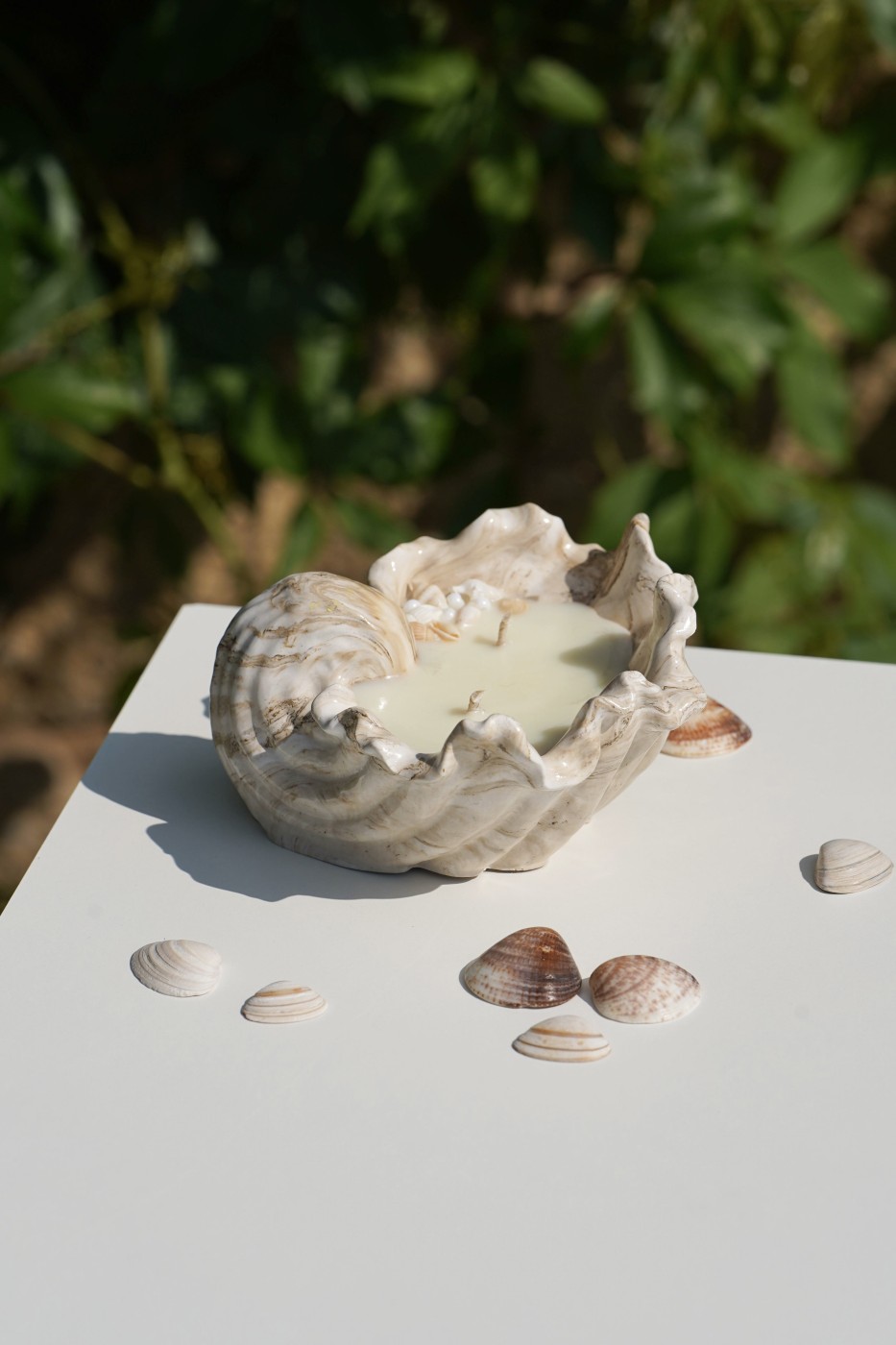 Malia Shell | Scented Soy Candle