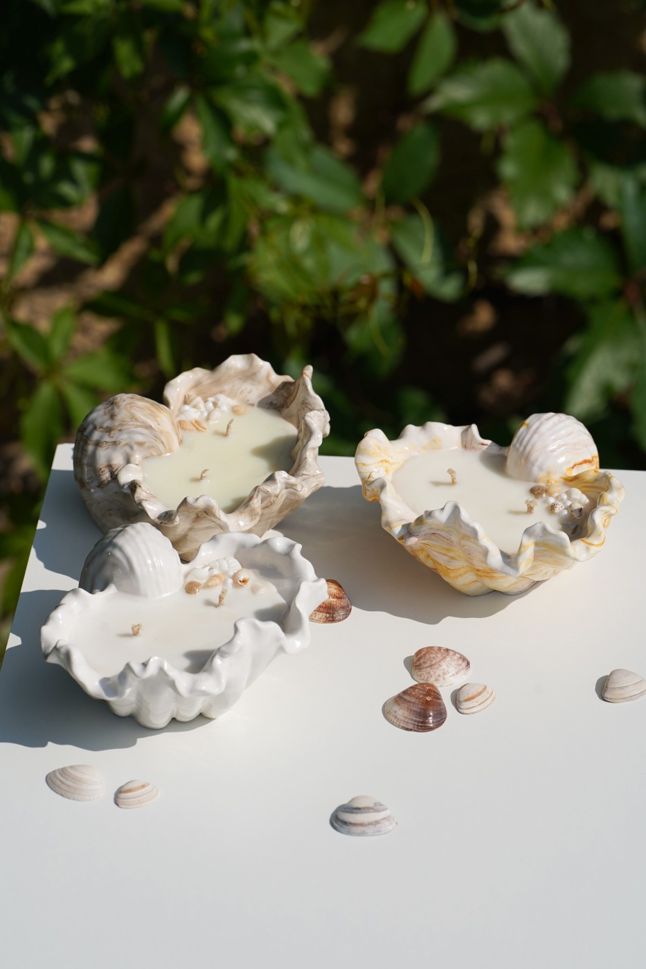 Malia Shell | Scented Soy Candle
