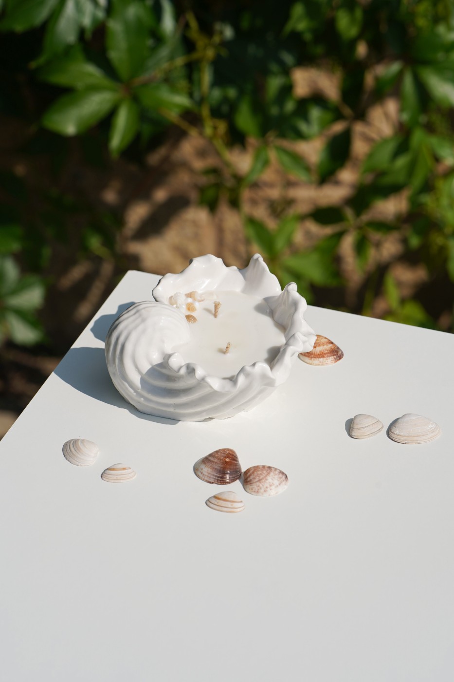 Malia Shell | Scented Soy Candle
