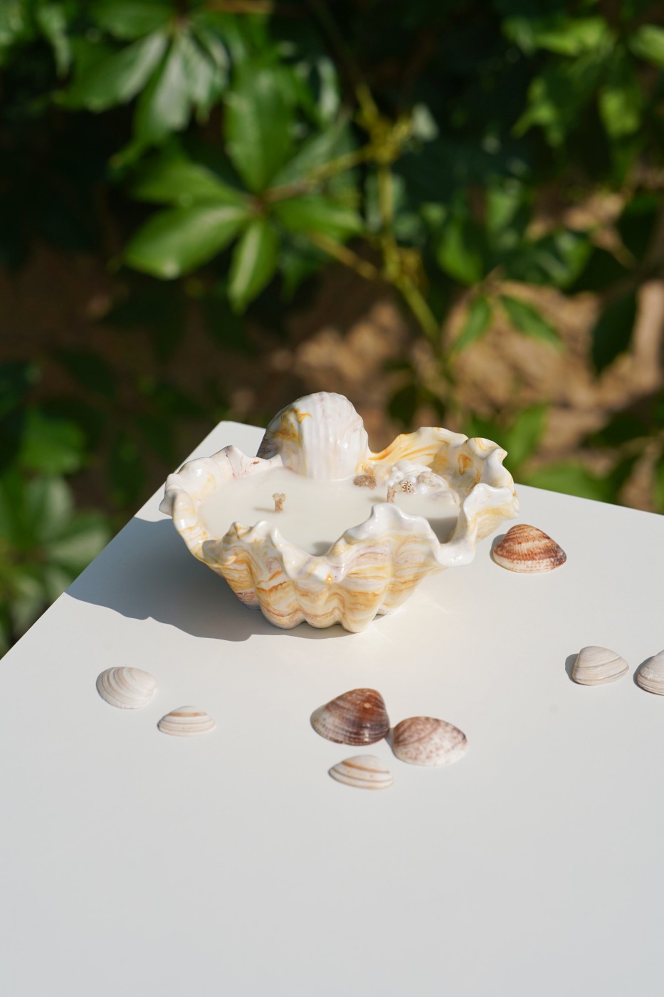 Malia Shell | Scented Soy Candle