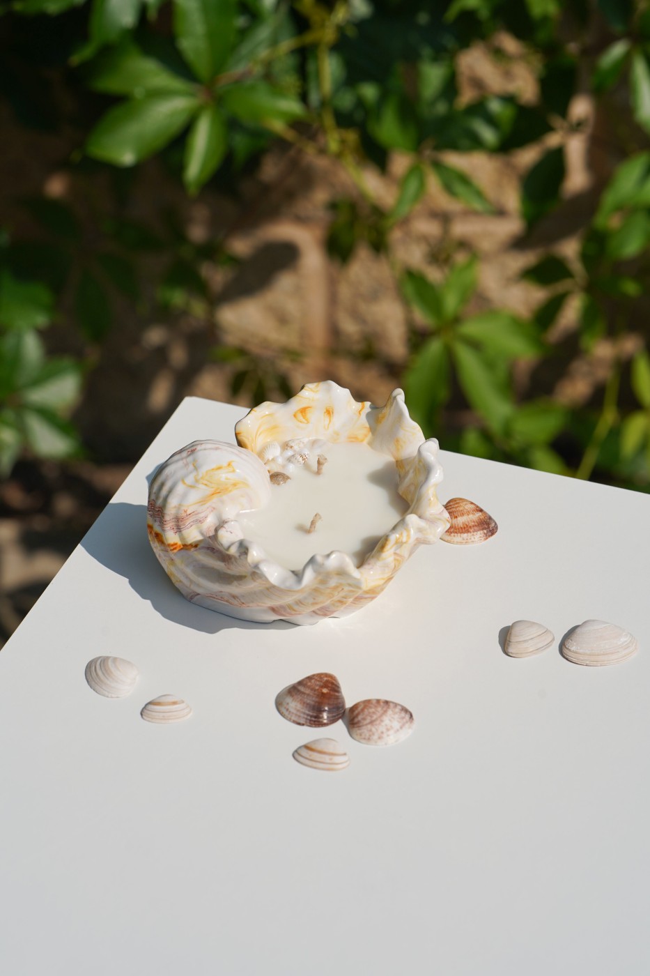 Malia Shell | Scented Soy Candle
