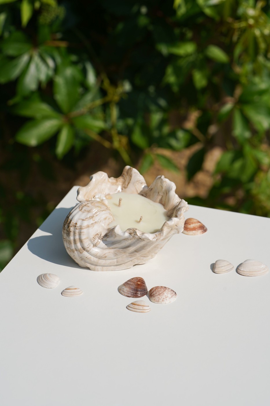 Malia Shell | Scented Soy Candle