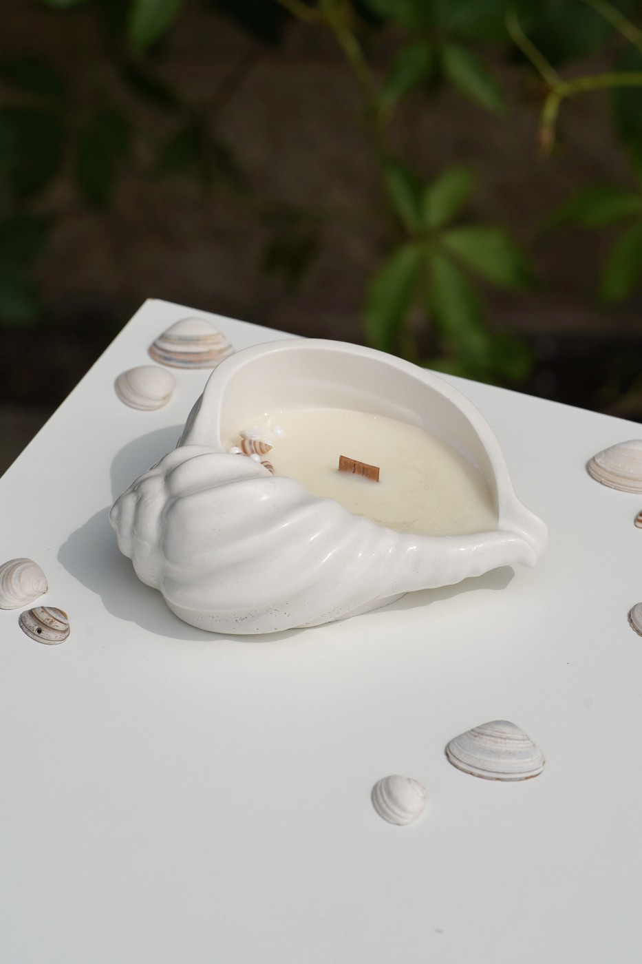 Maya Shell | Scented Soy Candle