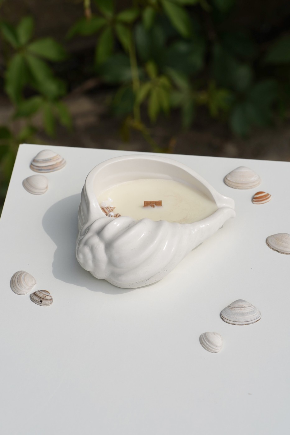 Maya Shell | Scented Soy Candle