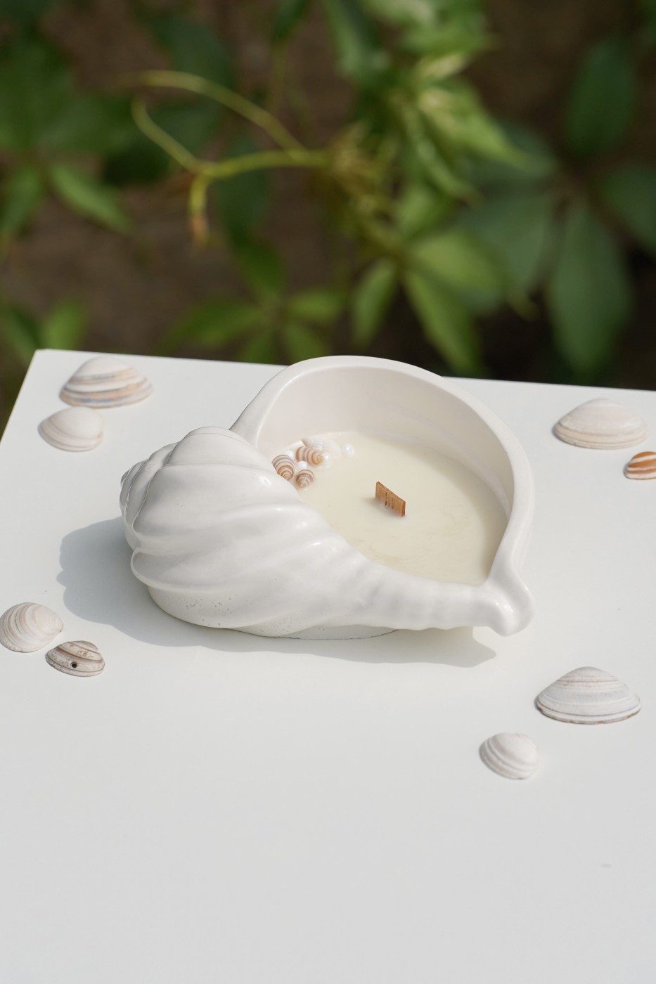 Maya Shell | Scented Soy Candle