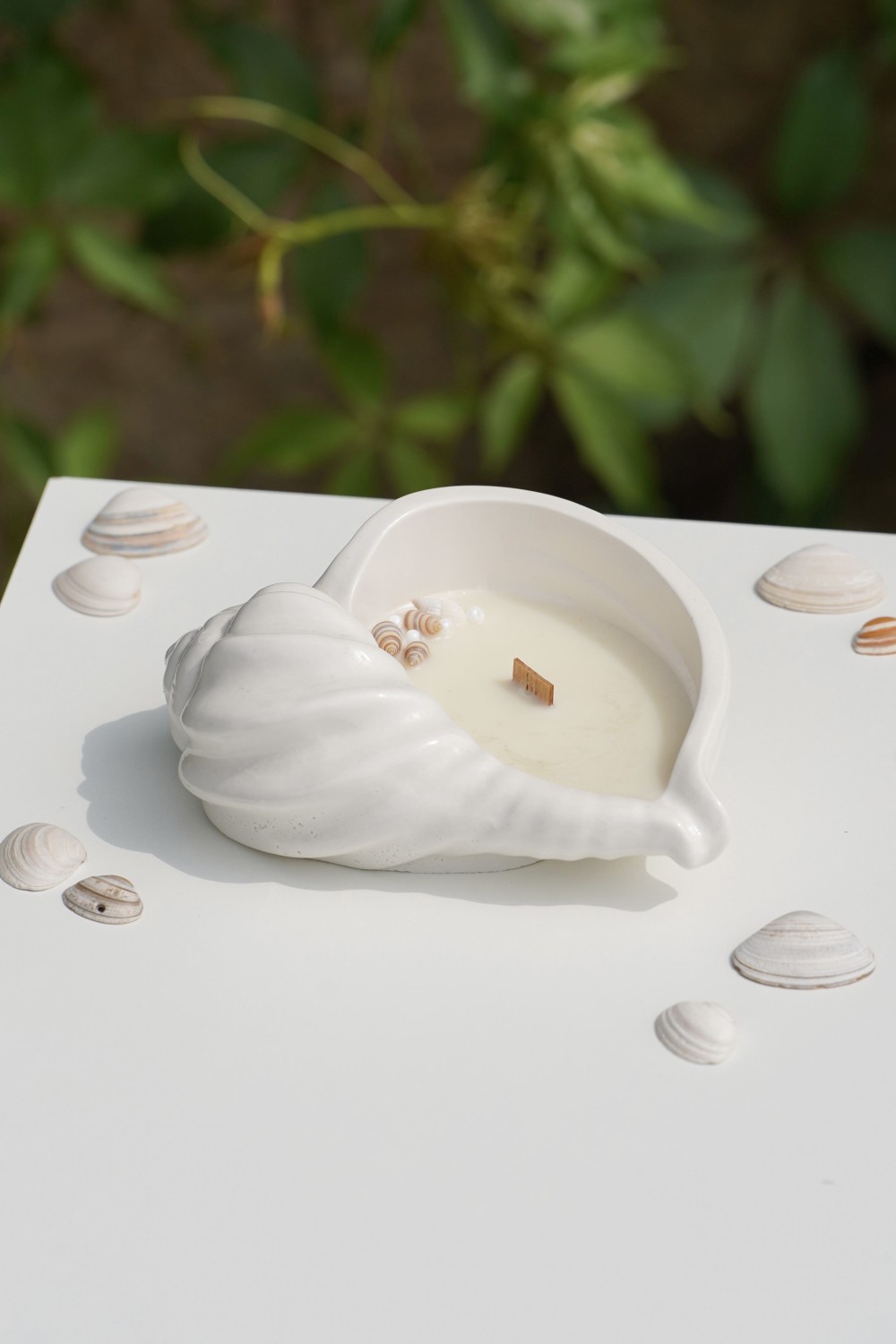 Maya Shell | Scented Soy Candle