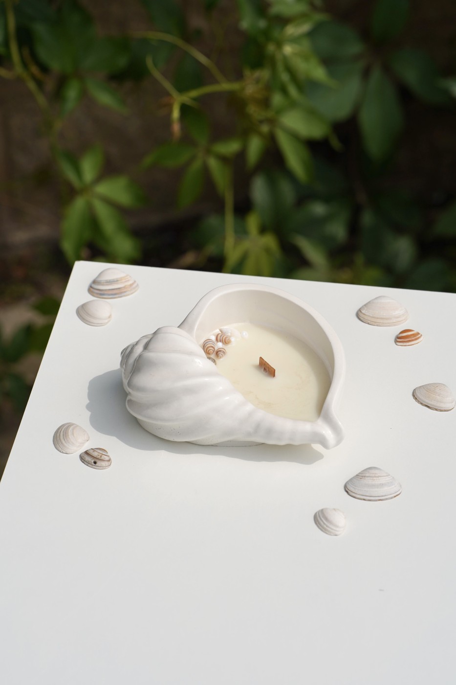 Maya Shell | Scented Soy Candle