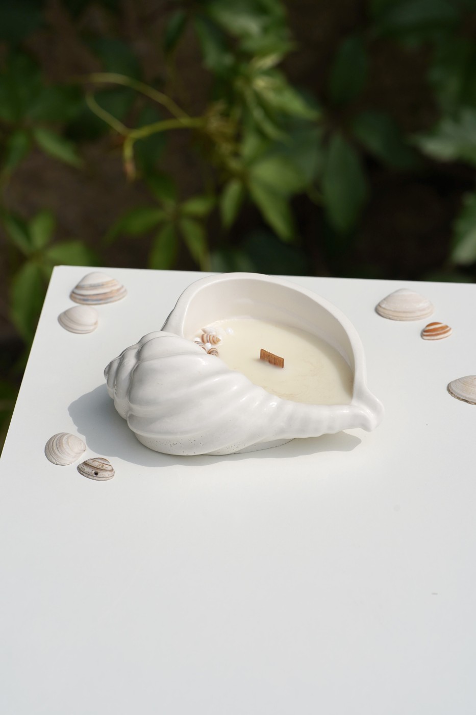Maya Shell | Scented Soy Candle