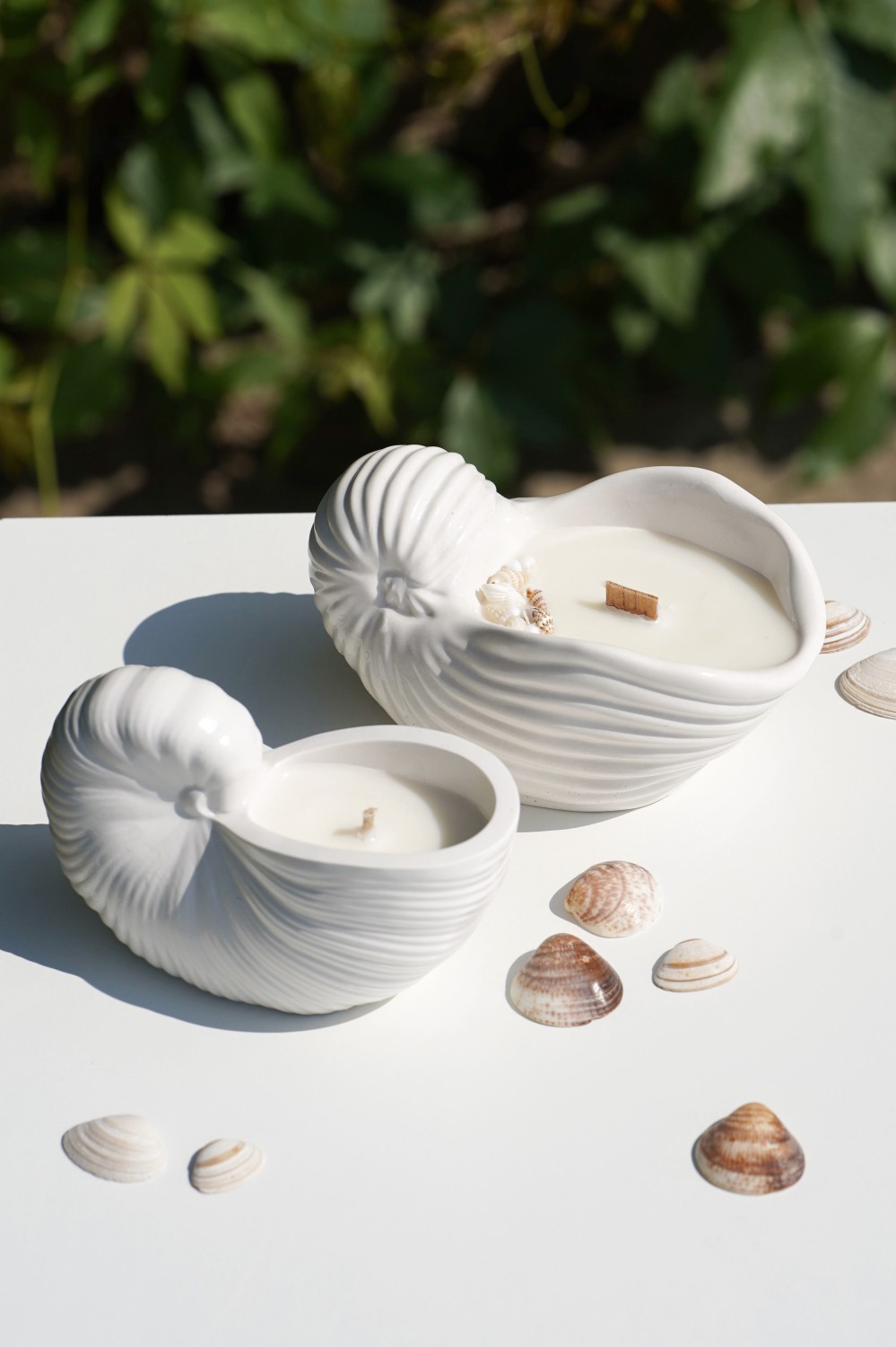 Zion Shell | Scented Soy Candle