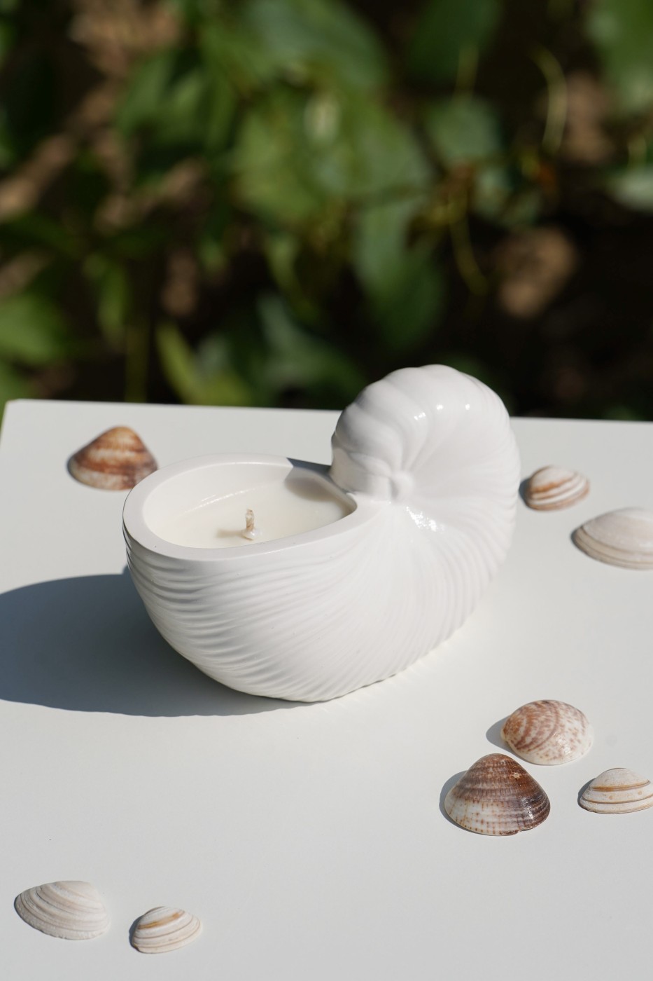 Zion Shell | Scented Soy Candle