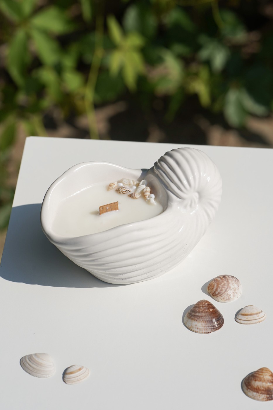 Zion Shell | Scented Soy Candle