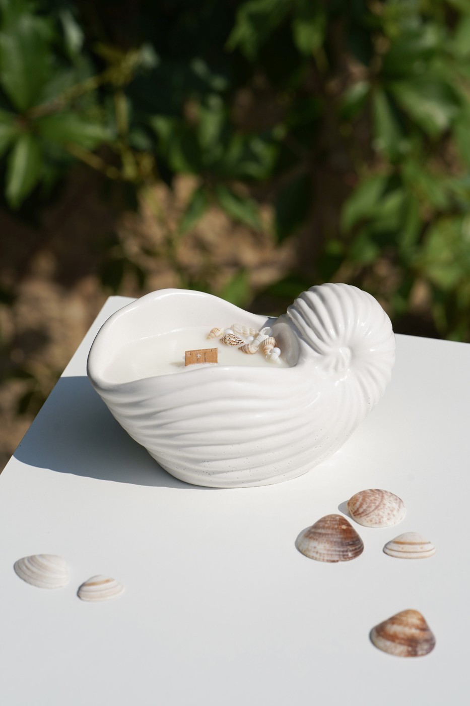 Zion Shell | Scented Soy Candle