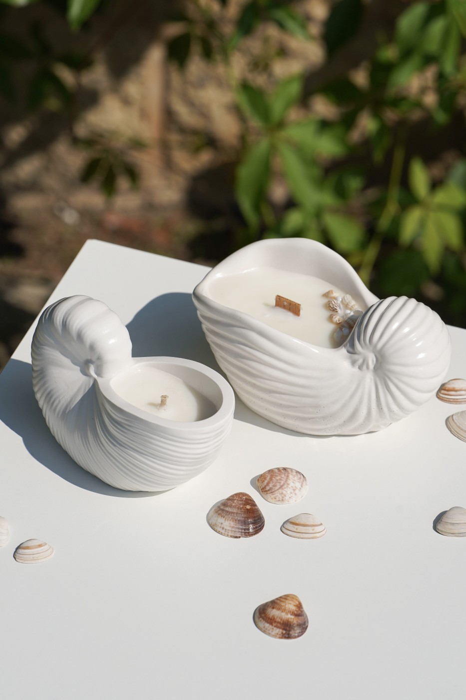 Zion Shell | Scented Soy Candle