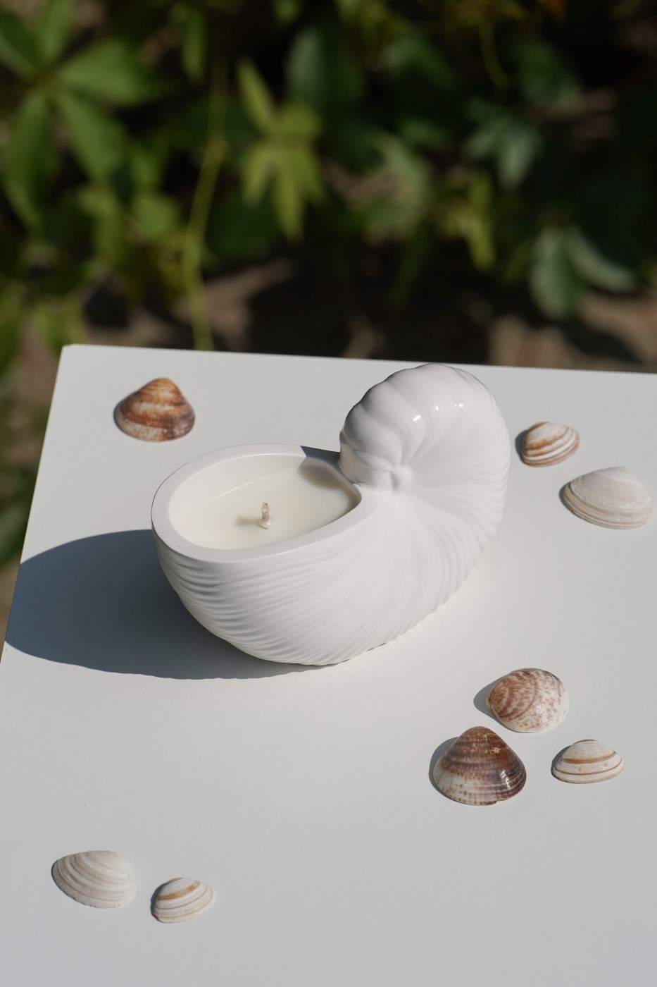 Zion Shell | Scented Soy Candle