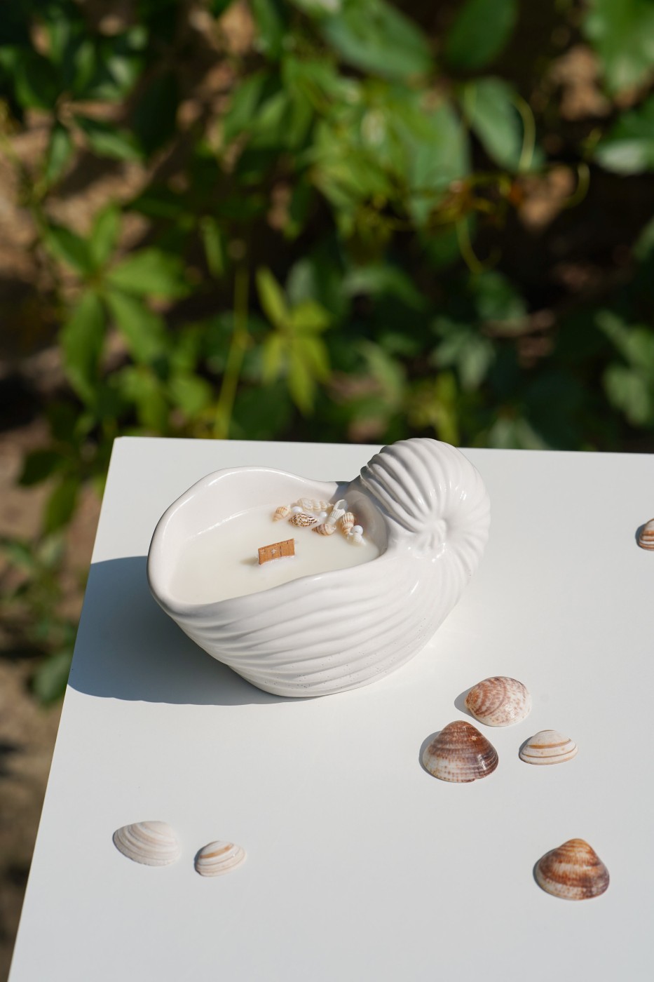 Zion Shell | Scented Soy Candle