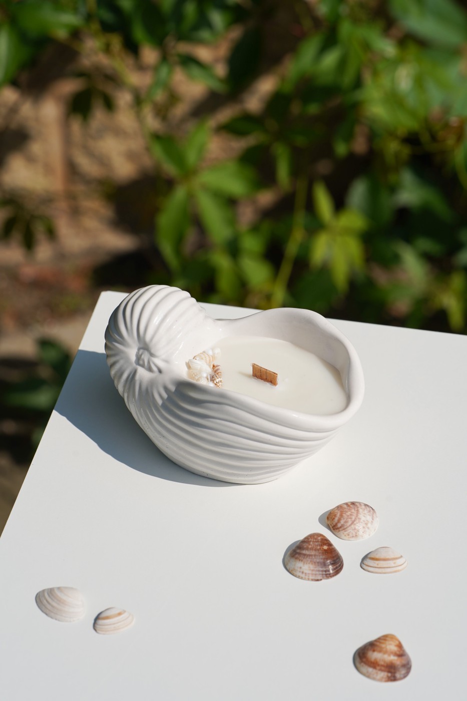 Zion Shell | Scented Soy Candle