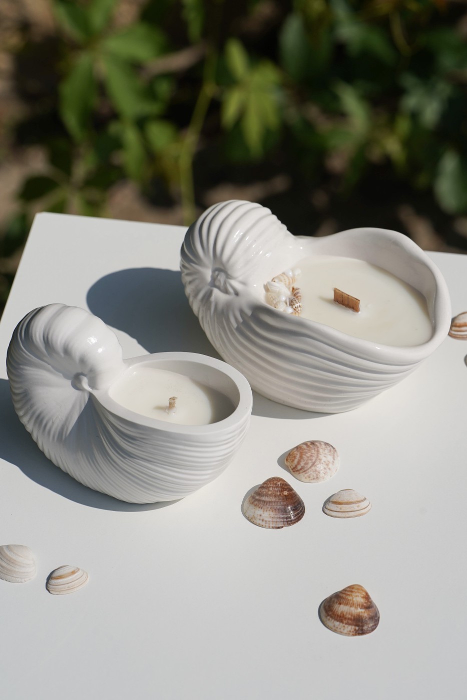 Zion Shell | Scented Soy Candle