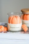 Pumpkin Spice | Scented Soy Candle