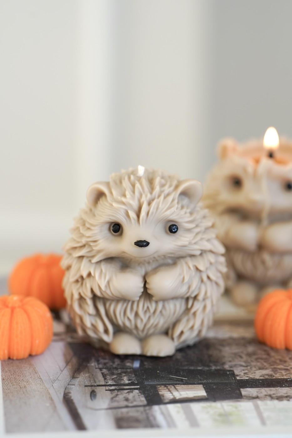 Hedgehog | Decorative Soy Candle – fotografie 2